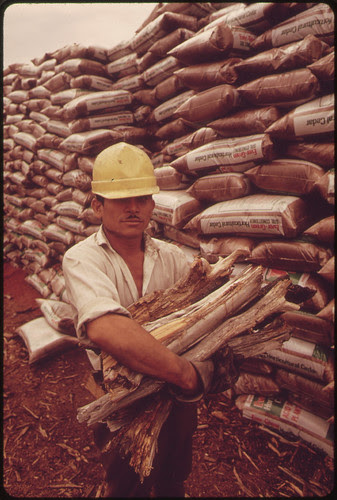 Worker from Mexico at a Cedar Mill near Leakey, Texas, near San Antonio 05/1973