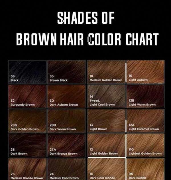 Red Brown Hair Colour Chart Basic Hair Colors Chart 2016 Gabor