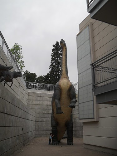 SDC11650