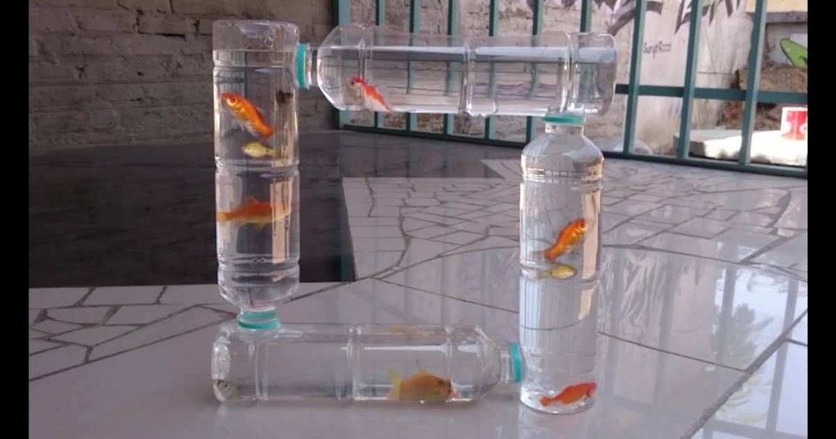 Hasta Karya Dari Botol Bekas Dan Cara Membuatnya Contoh Soal
