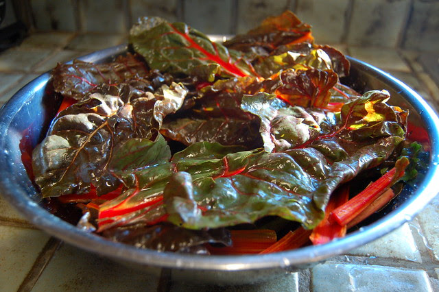 Bowl o Chard