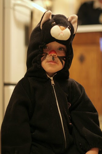 ezra-kitty
