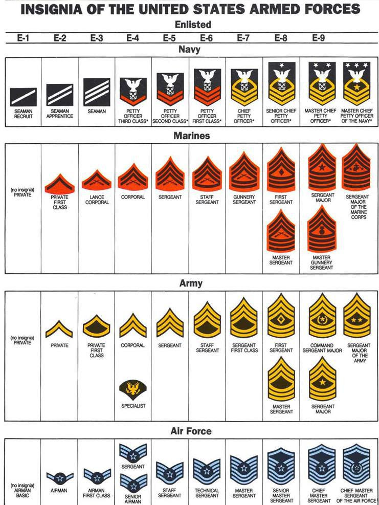 Enlisted Army Ranks : Army Enlisted Rank Insignia Stock Vector ...