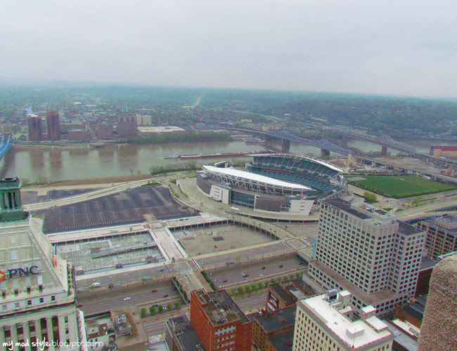 cincy paul brown1