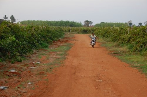 VSL agrotech project, Bellary district