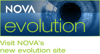 Visit 
NOVA's new evolution site