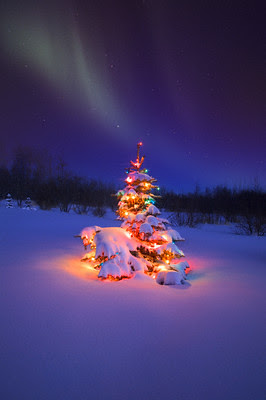 Northern Lights