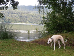 P7300114