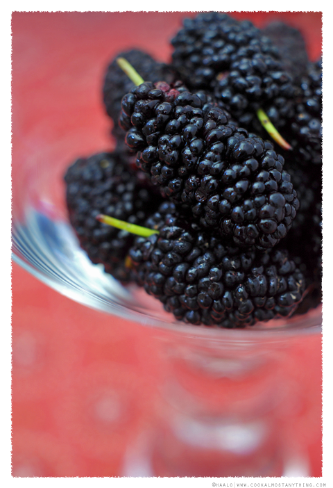 mulberries© by Haalo