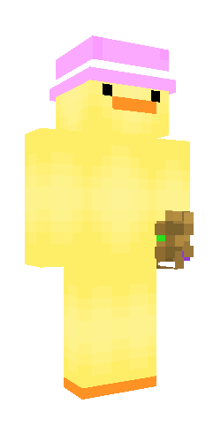 Minecraft Skins Cute Duck