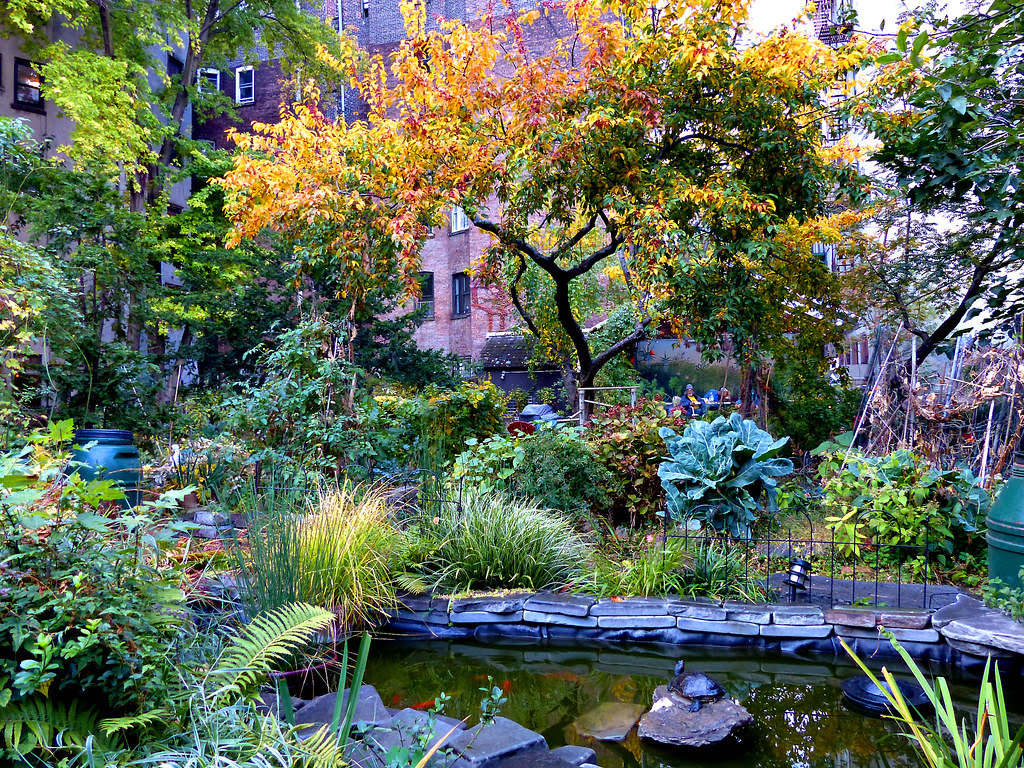 6th Street Community Garden