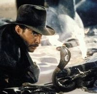 Indiana Jones with snake | Tacky Harper's Cryptic Clues