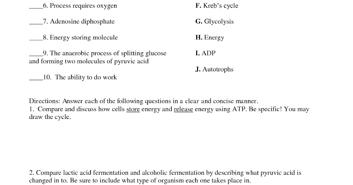 photosynthesis-worksheet-pdf-answers-biointeractive