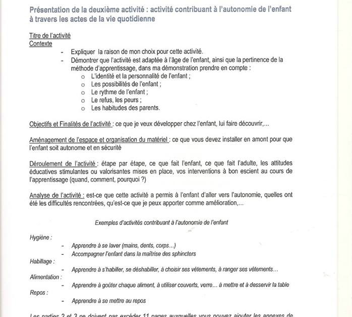 Exemple Conclusion Rapport De Stage Cap Petite Enfance  Le Meilleur