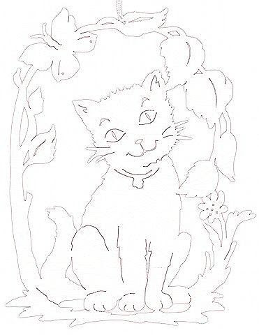 Encore un chat !