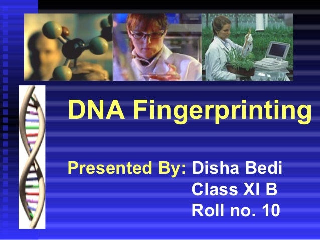 DNA Fingerprinting
Presented By: Disha Bedi
Class XI B
Roll no. 10
 
