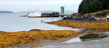 island ferry