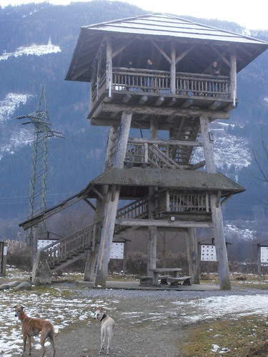 P1010020