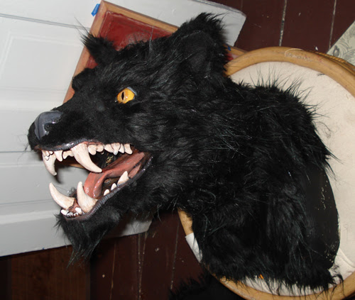 taxidermy 5