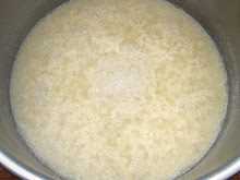 yaourt lait soja soyabella