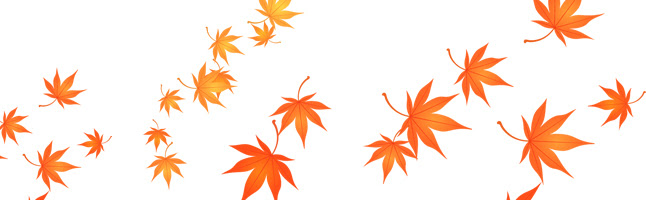 かわいい動物画像 50 紅葉 イラスト 綺麗