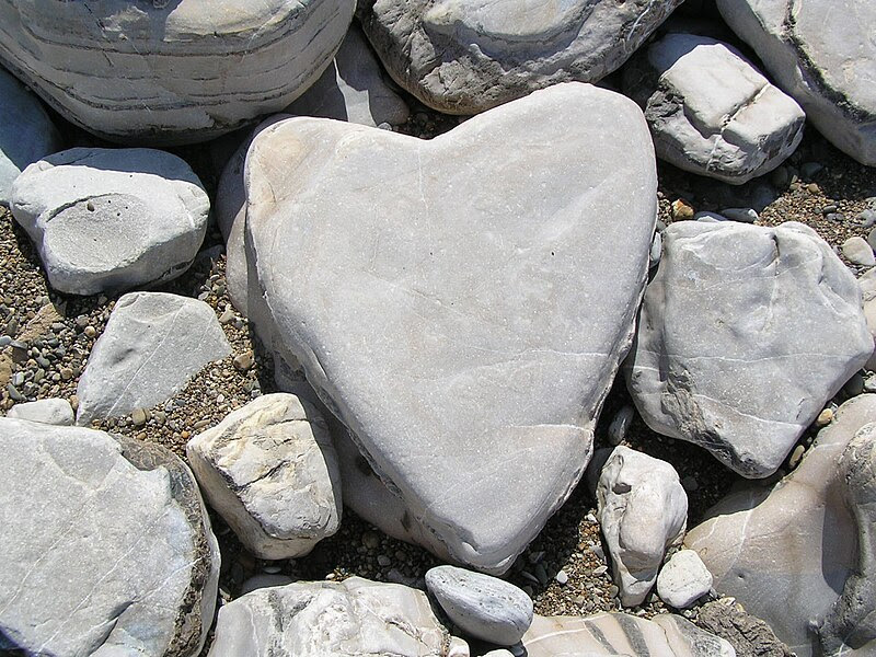 File:Heart-shaped stone.JPG