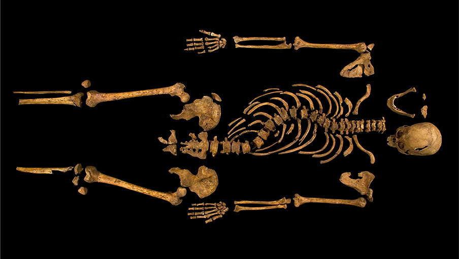 Skeleton laid out horizontally