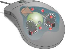 Mouse mechanism diagram.svg