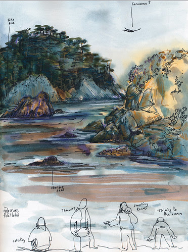 July 2013: Point Lobos by apple-pine