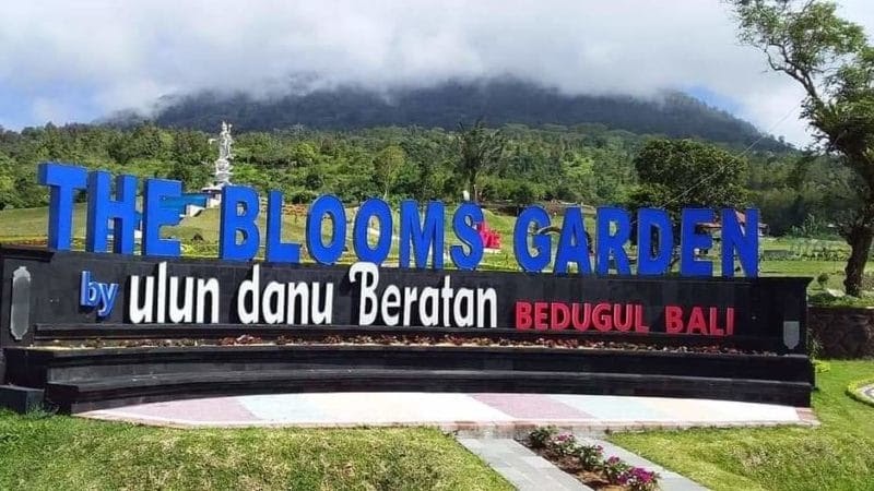 grantnsaipan: Taman Bunga Di Bedugul Bali