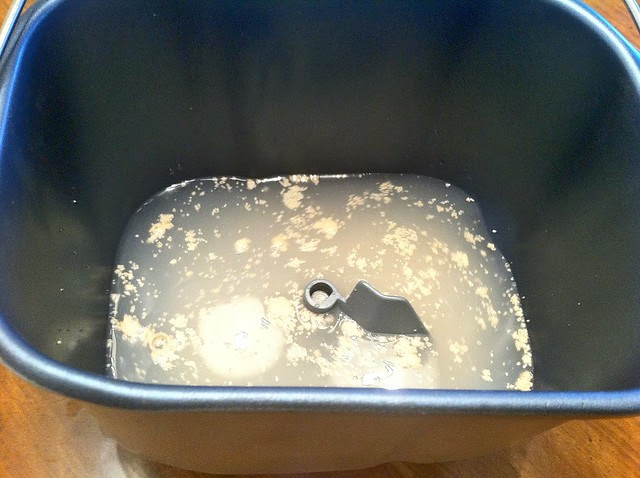 Yeast Added to Warm Water