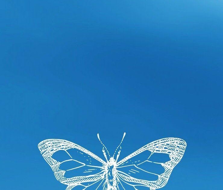 Blue Butterfly Aesthetic Pfp - Esfelisa