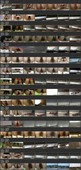 PeepVoyeur A349-364 (China Public Toilet Hidden Cam)