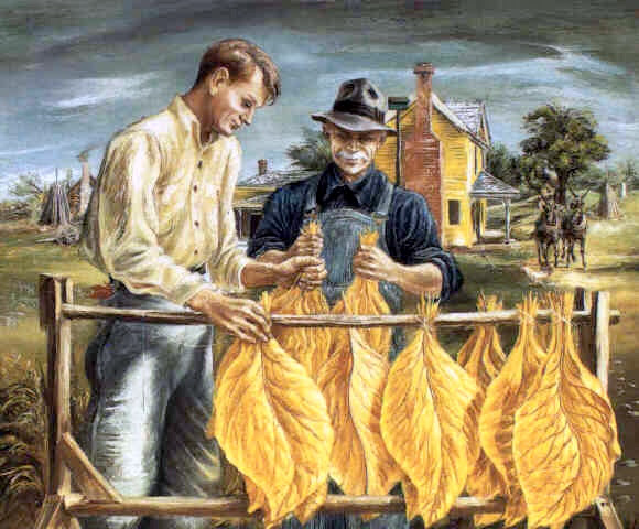 Unstringing Tobacco Leaves Unstringing Tobacco Leaves
