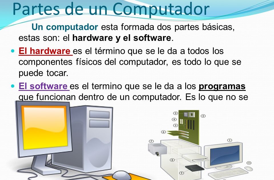 Triazs Partes Del Computador En Hardware Y Software