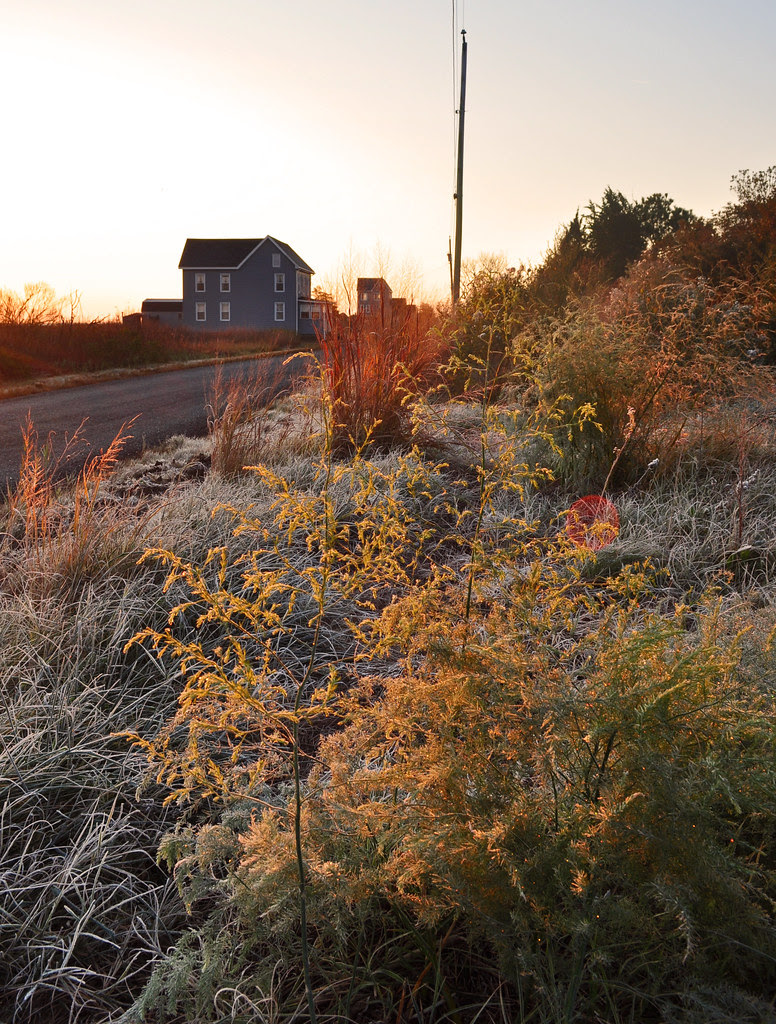 Franklin City (4)