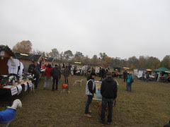 PB010801