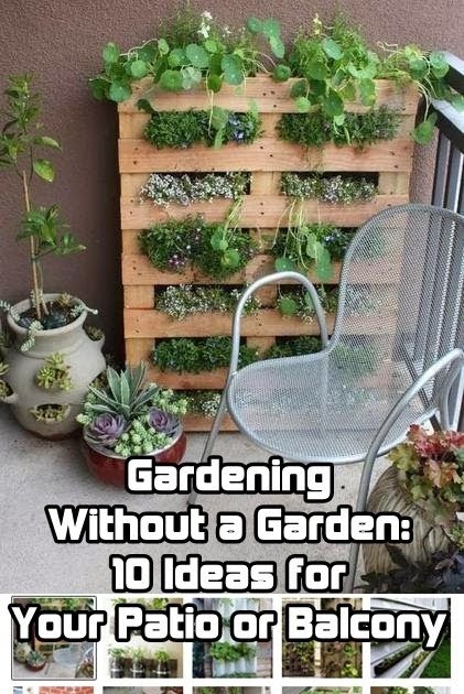Apartment Patio Garden Ideas Pinterest