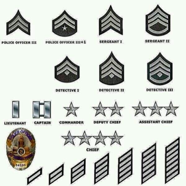 Fresh 20 of Ranks Of Police Officers | pljadvisors