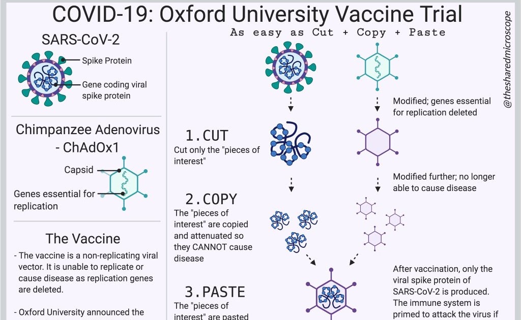 Astrazeneca Vaccine Type Viral Vector / Coronavirus Vaccines Are