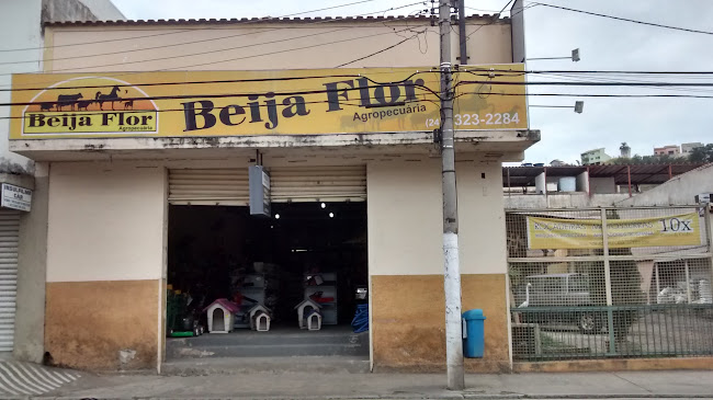 Beija Flor Agropecuária - Veterinário