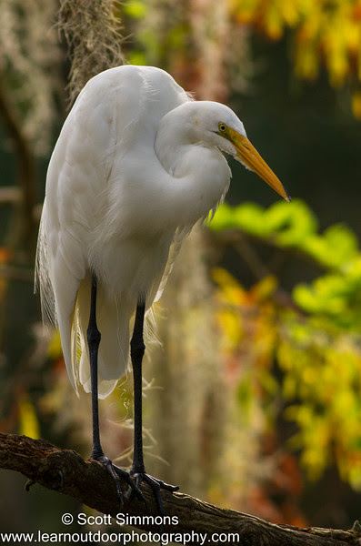 Photo & Video Sharing by SmugMug Photo & Video Sharing by SmugMug