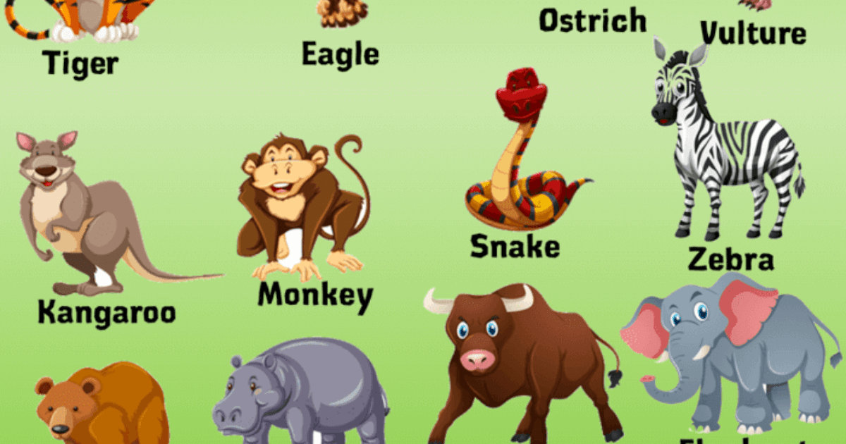 View 24 Ten Wild Animals Name In Hindi And English - greatanswericonic