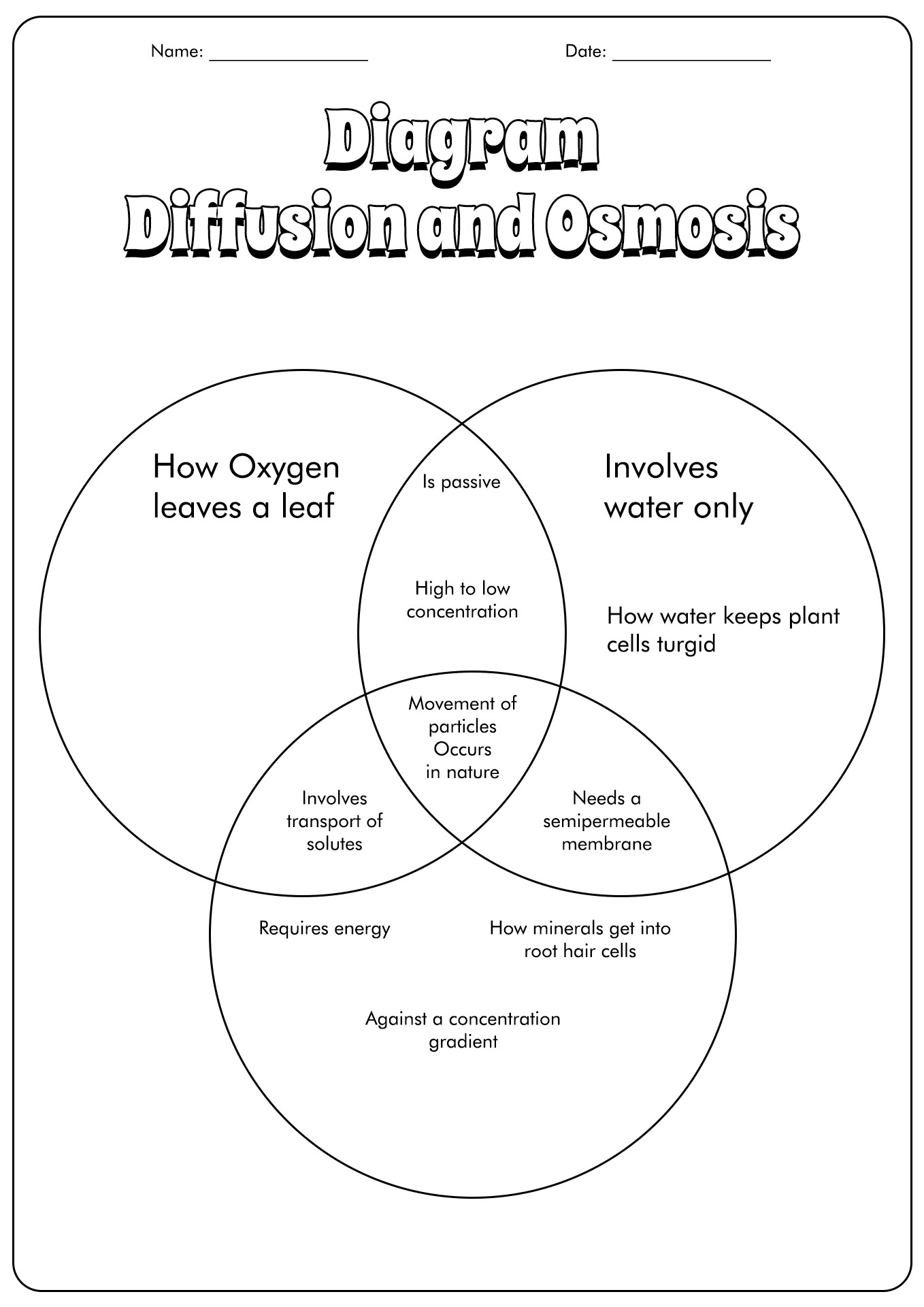 osmosis-and-diffusion-worksheet-answers
