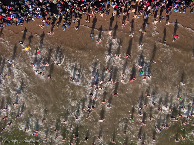 Coney Island Polar Bears usher in 2009