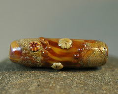 Beach Find