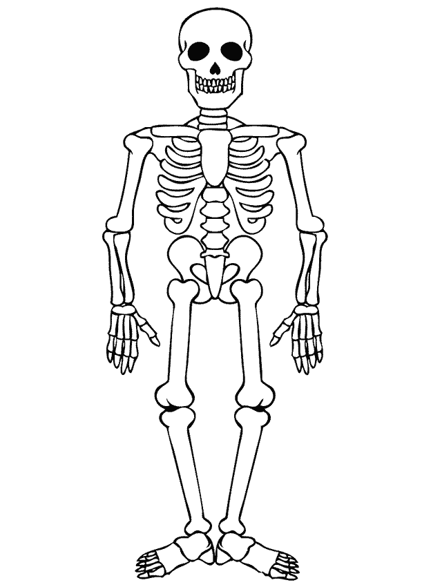 18 best ausmalbilder halloween skelett