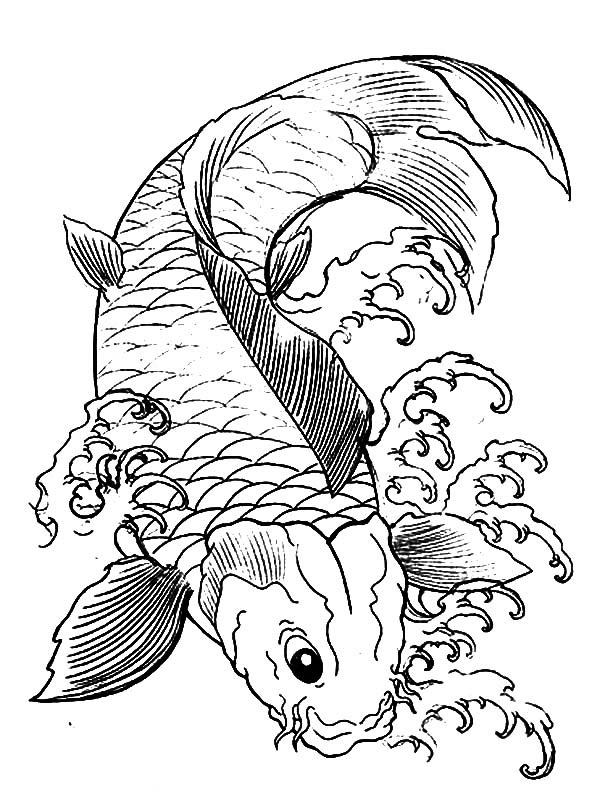 Japanese koi coloring pages download and print for free Japanese koi coloring pages download and print for free