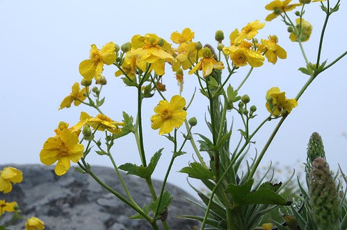 2012 05 19_Nélia Susana213