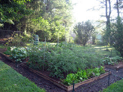 The Asheville Gardener: June 2009